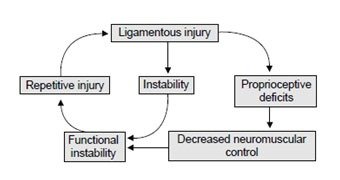 Proprioception & Balance Exercises - Pain Free Physiotherapy