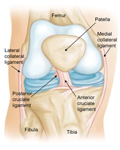acl1