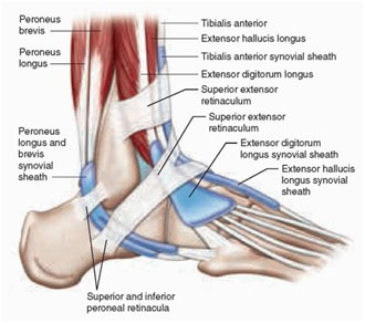 Ankle & Foot Pain Treatment in Dwarka, Delhi | Pain Free Physiotherapy