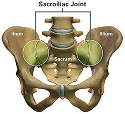 Sacroiliac Joint