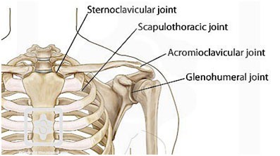 Shoulder Pain