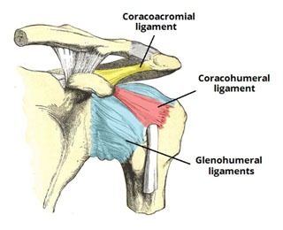 Pain-Free Physiotherapy for Shoulder Pain in Dwarka