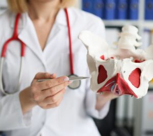 pelvic floor physical therapy 