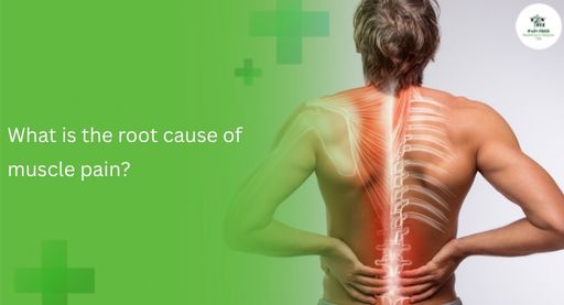 What is the root cause of muscle pain